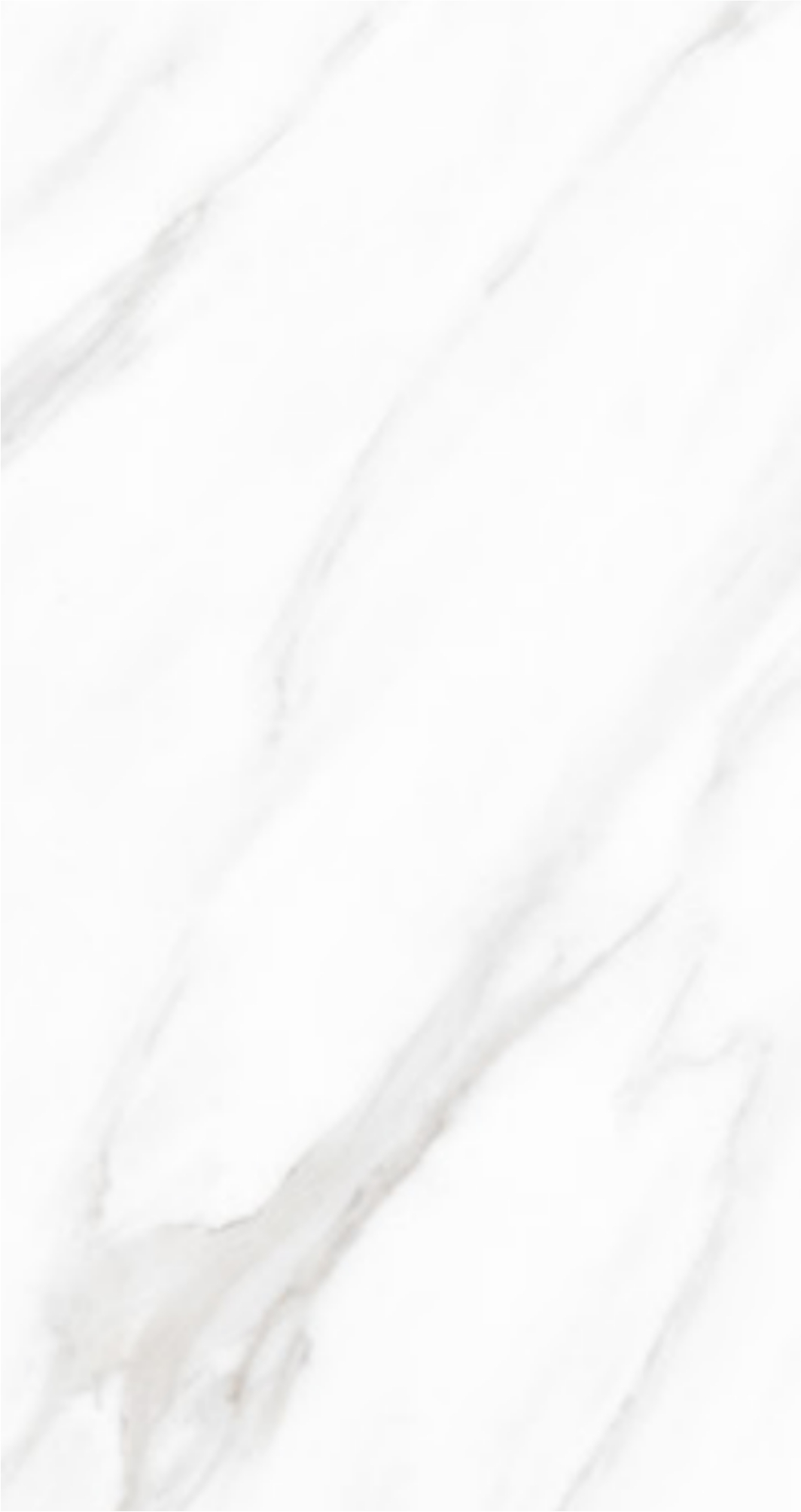 Calacatta White