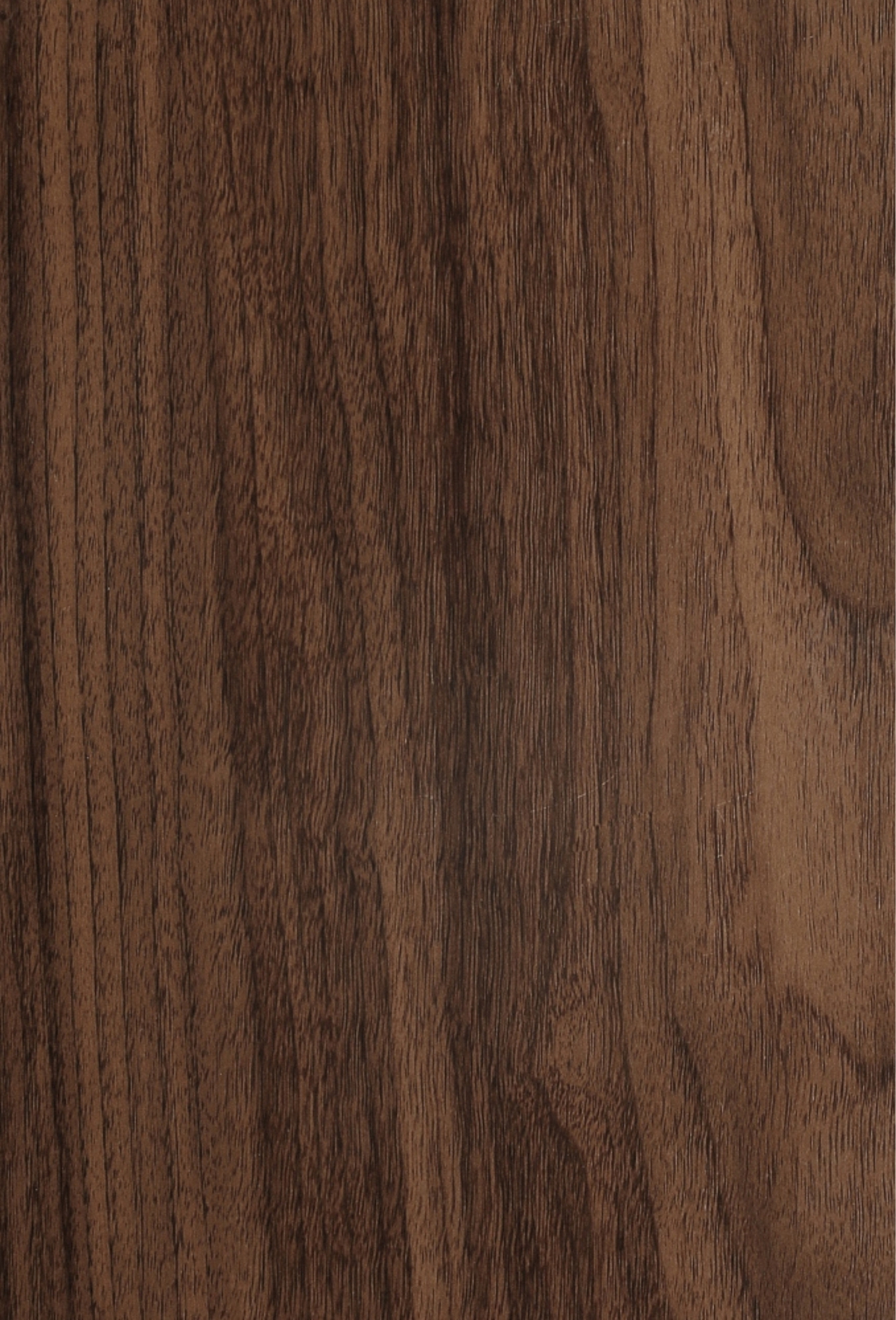 Black Walnut