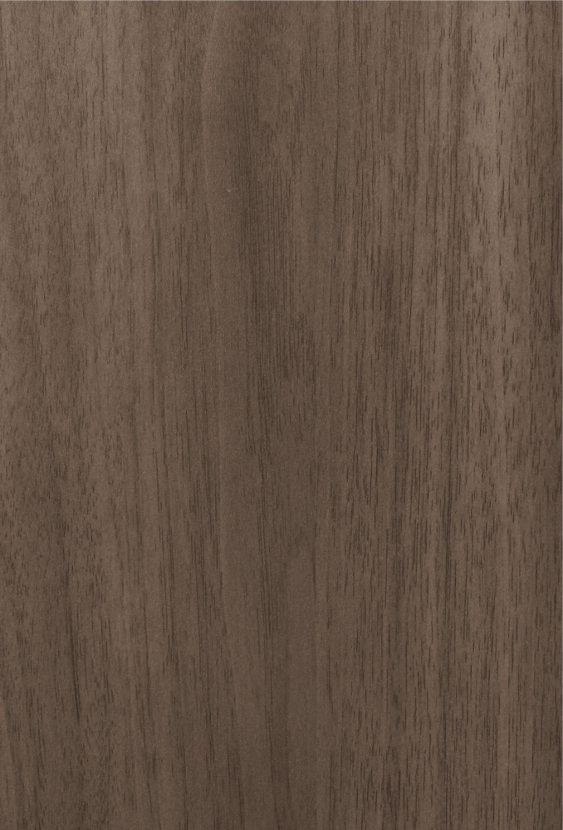 Khaki Wood