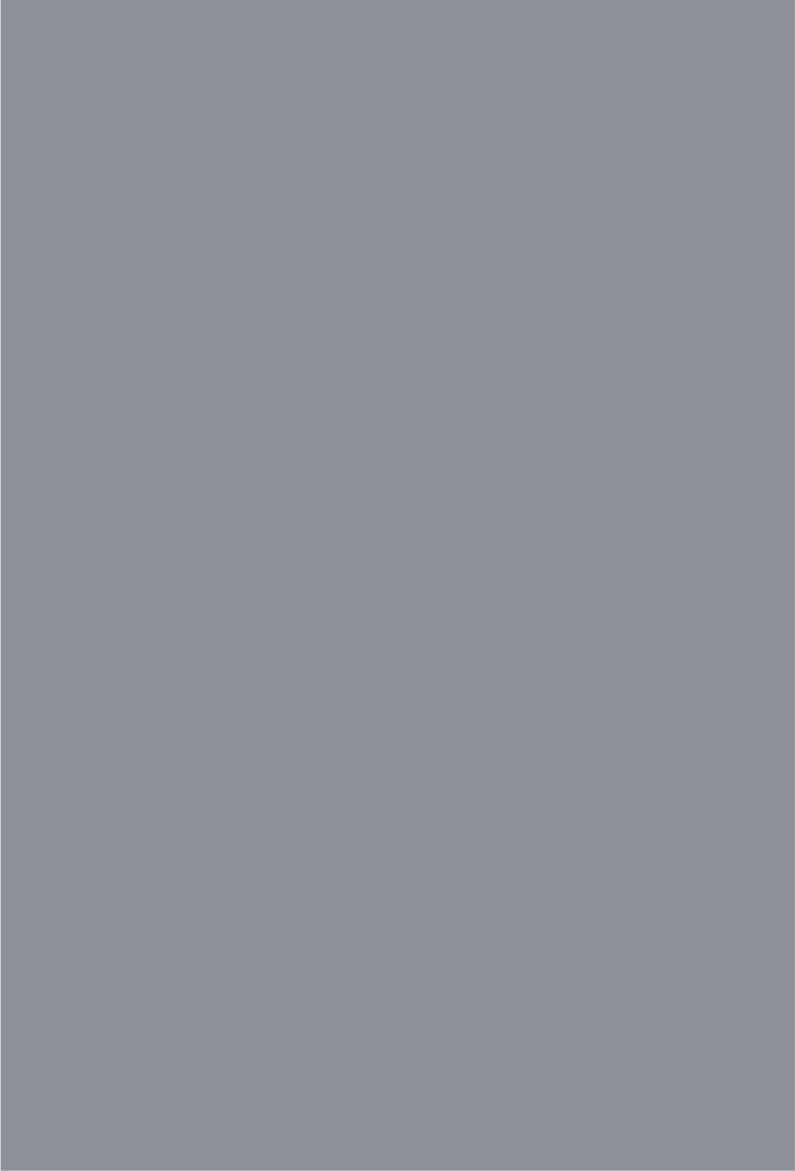 Silver Gray